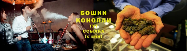 ГАЛЛЮЦИНОГЕННЫЕ ГРИБЫ Елабуга