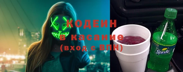 ГАЛЛЮЦИНОГЕННЫЕ ГРИБЫ Елабуга