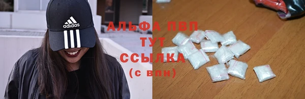 ГАЛЛЮЦИНОГЕННЫЕ ГРИБЫ Елабуга
