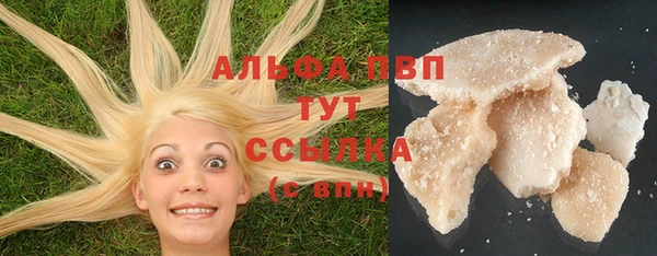 ПСИЛОЦИБИНОВЫЕ ГРИБЫ Балабаново