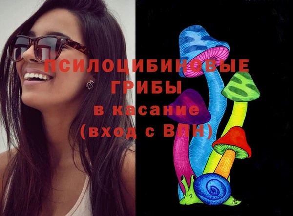 бошки Ельня