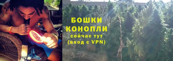 ГАЛЛЮЦИНОГЕННЫЕ ГРИБЫ Арсеньев