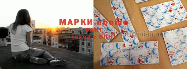 Альфа ПВП Елизово